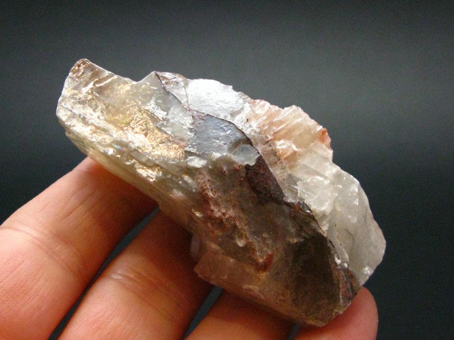 Tricolor Calcite Crystal from Mexico - 52.18 Grams - 2.5"