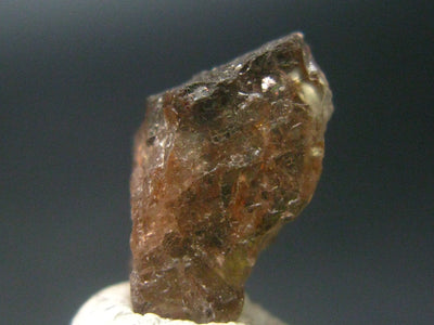 Andalusite Gem Crystal From Brazil - 0.7" - 1.72 Grams