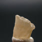 Phenakite Phenacite Gem Crystal from Mogok Burma / Myanmar 3.10 Carats