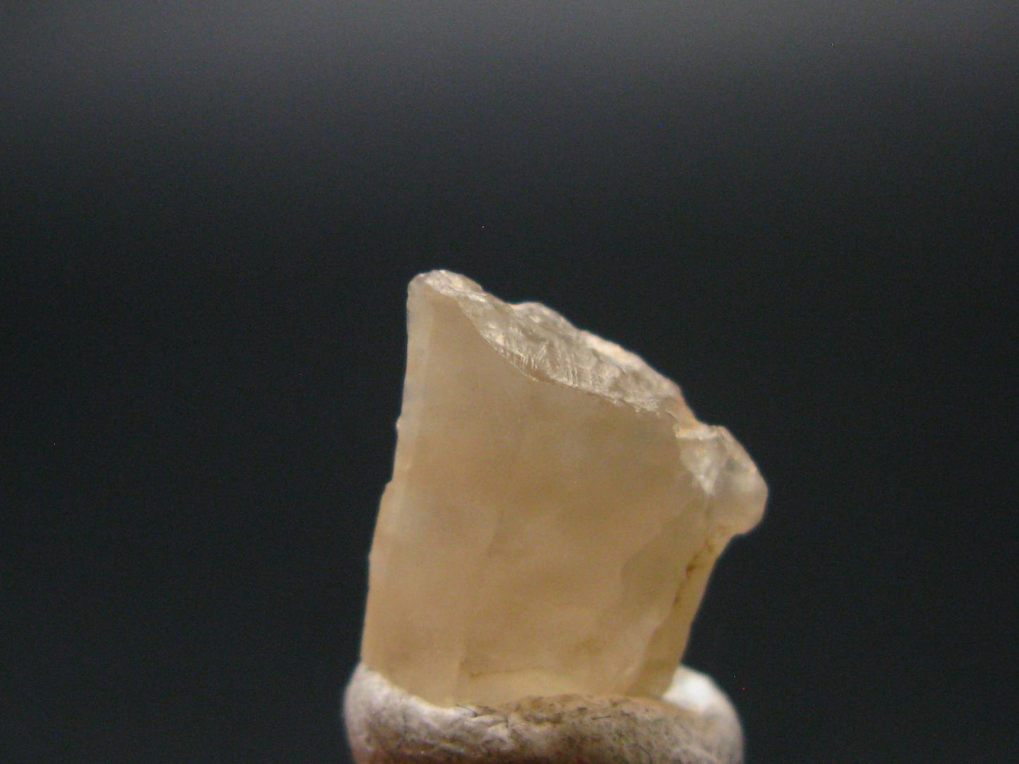 Phenakite Phenacite Gem Crystal from Mogok Burma / Myanmar 3.10 Carats