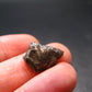 Sikhote Alin Meteorite From Russia - 2.60 Grams - 0.6"