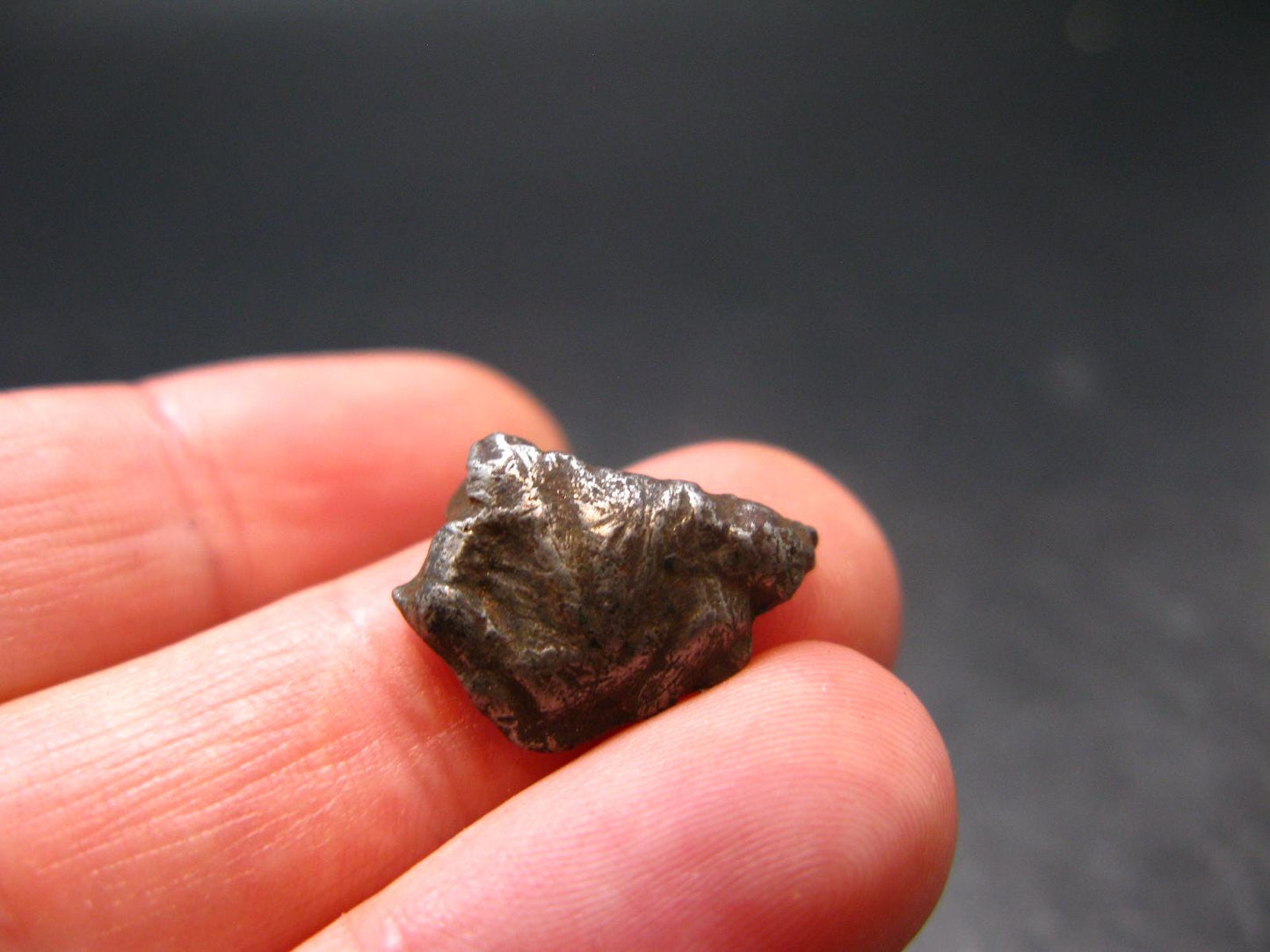 Sikhote Alin Meteorite From Russia - 2.60 Grams - 0.6"
