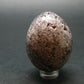 Extremely Rare Axinite Crystal Egg from Peru - 1.9"