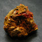 Rare Orange Crocoite Cluster From Australia - 1.3"- 30.40 Grams