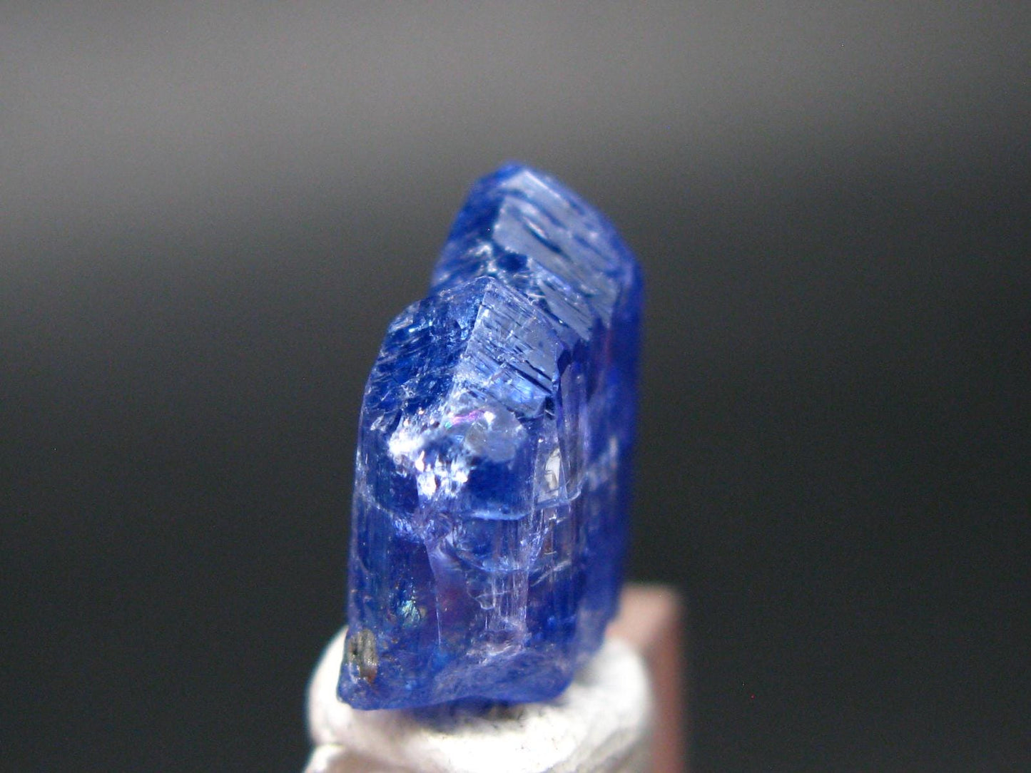 Fine Gem Tanzanite Zoisite Crystal From Tanzania - 8.09 Carats - 0.5"