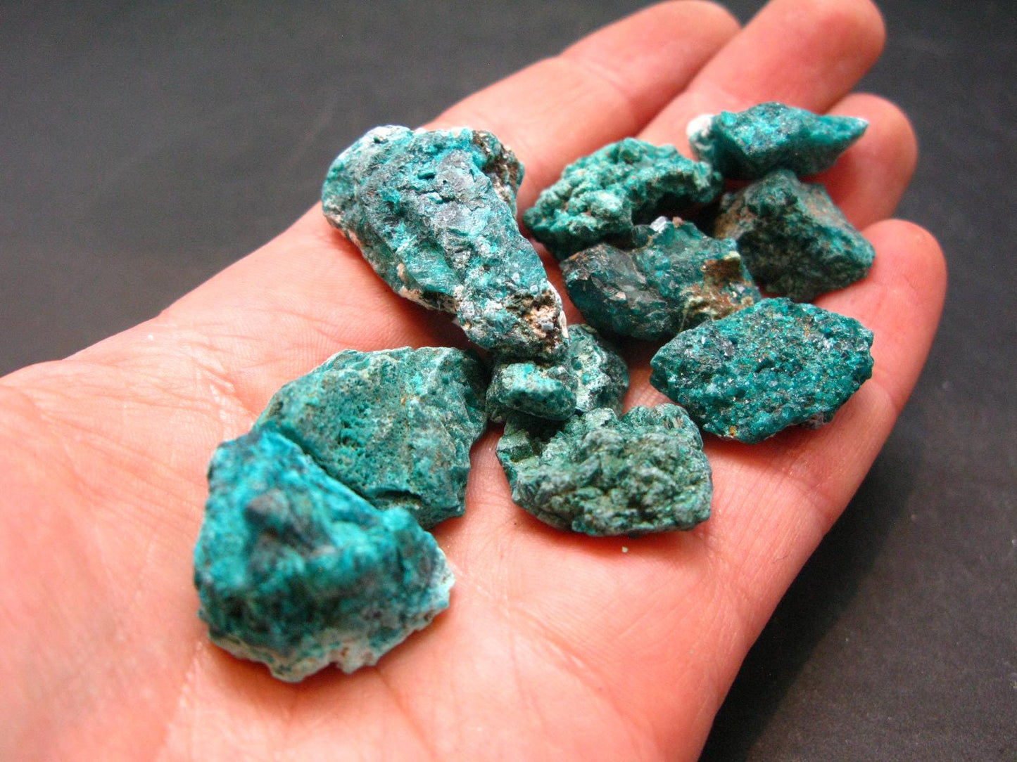 Very Nice Lot of 10 Dioptase Clusters from Congo - 43.96 Grams