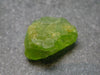 Rare 12.30 Carat Gem Peridot Olivine Crystal from Arizona, USA - 0.7"