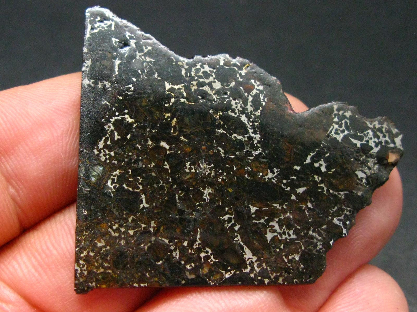 Large Admire Meteorite Pallasite Olivine Slice From Kansas, USA - 1.6" - 7.21 Grams
