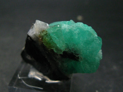 Emerald Beryl Crystal On Matrix From Colombia - 1.6"