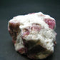 Pink Tourmaline In Quartz Cluster From Brazil - 2.4"