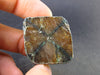 Andalusite Chiastolite Crystal From China - 1.0" - 18.1 Grams