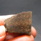 Rare Chondrite Stone Meteorite From Africa - 1.0" - 8.90 Grams