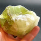 Green Brownish Calcite Crystal from Mexico - 171.41 Grams - 2.5"