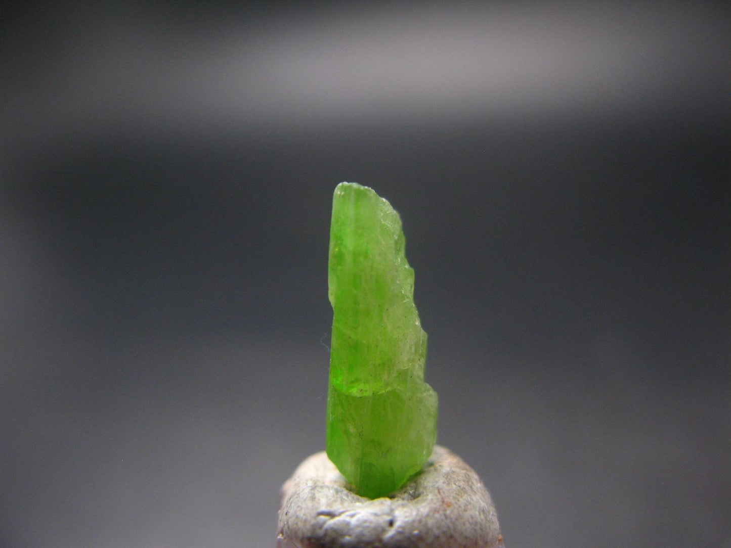 Rare Neon Tremolite Crystal from Tanzania - 0.6" - 4.40 Carats