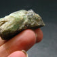 Emerald Beryl Crystal From Russia - 1.4" - 15.96 Grams