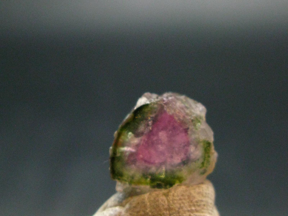 Rare Watermelon Tourmaline Crystal Slice From Brazil - 4.70 Carats