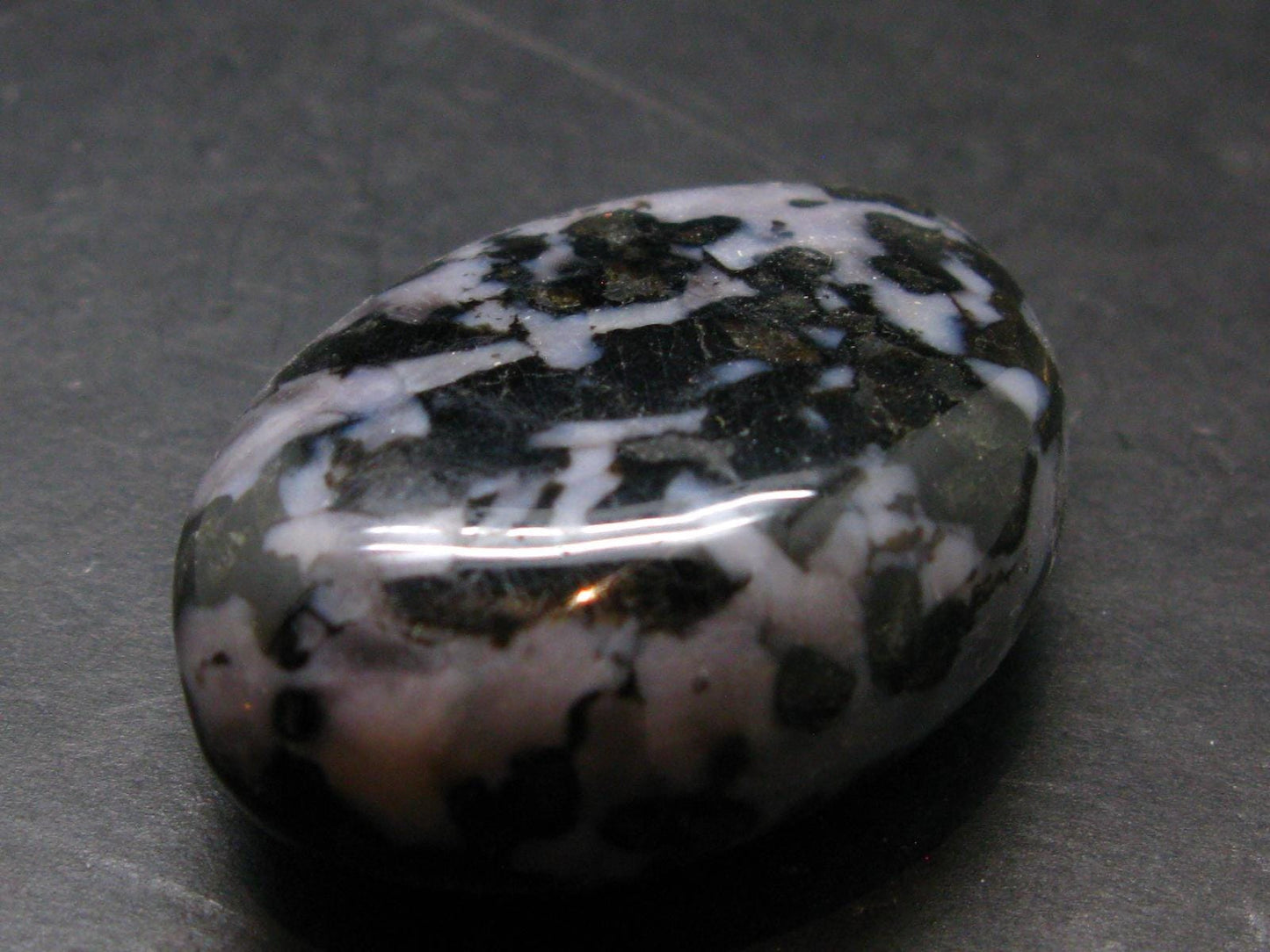Gabbro Mystic Merlinite Tumbled Piece From Indian Ocean - 1.9"