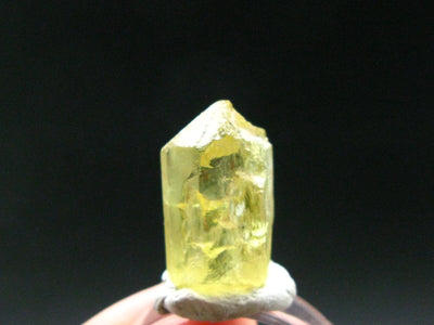 Large Gem Golden Apatite Crystal From Mexico - 0.6" - 7.27 Grams