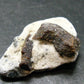 A Perfect Staurolite Crystal on Matrix from Russia - 1.5" - 10.91 Grams