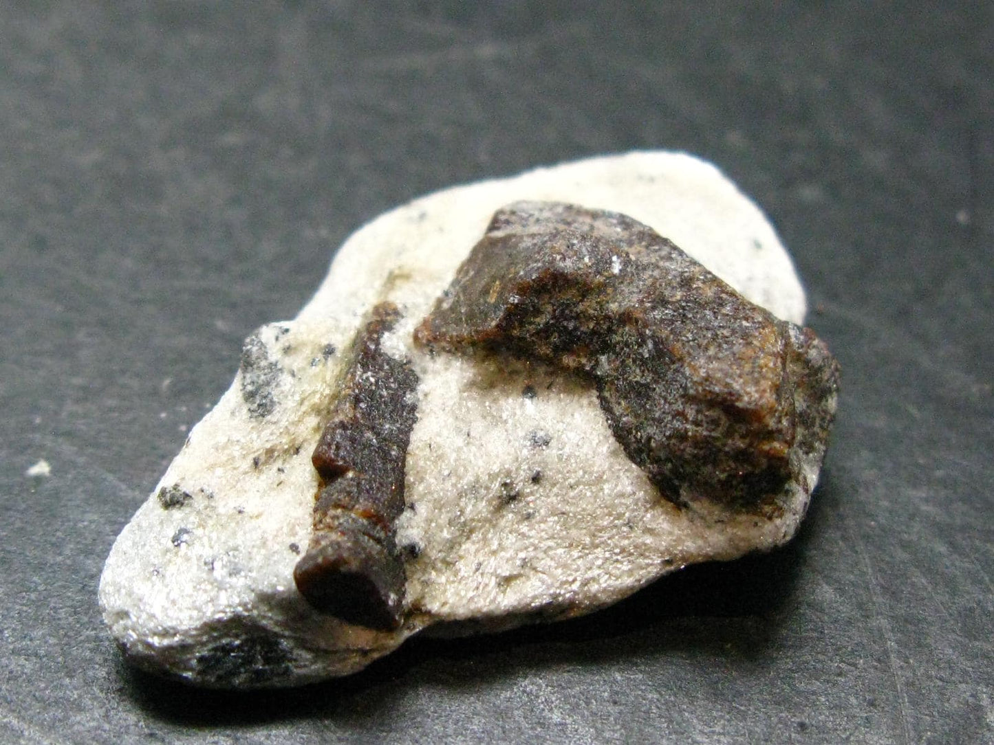 A Perfect Staurolite Crystal on Matrix from Russia - 1.5" - 10.91 Grams