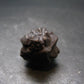 Very rare Z-Stone (Limonite after Marcasite) from Sahara Dessert, Egypt - 0.8" - 13.59 Grams