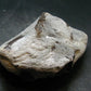 A Perfect Staurolite Crystal from Russia - 3.8" - 318.88 Grams