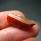 Large Orange Crocoite Crystal From Australia - 0.7" - 13.10 Carats