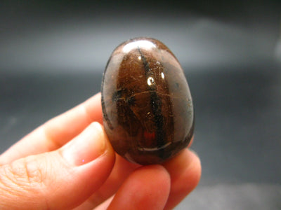 Chiastolite Variety of Andalusite Egg from China - 1.3"