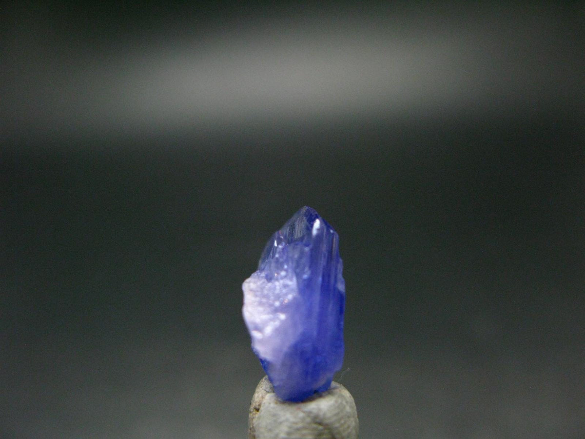 Fine Gem Tanzanite Zoisite Crystal From Tanzania - 6.80 Carats - 0.5"