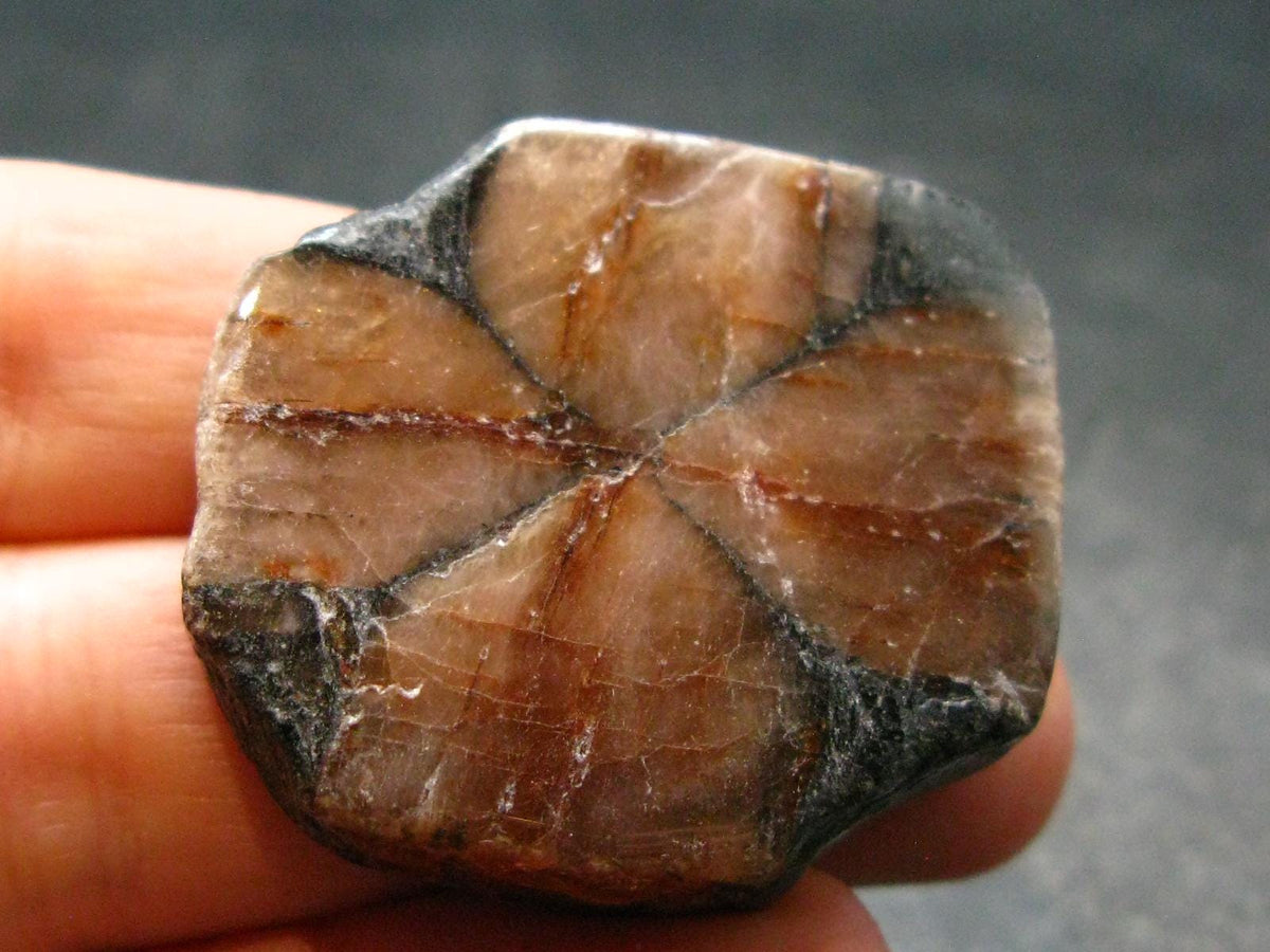 Andalusite Chiastolite Crystal From China - 1.3" - 24.83 Grams