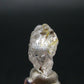 Phenakite Phenacite Crystal from Nigeria 1.82 Grams - 0.7"