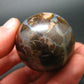 Super Rare Boulder Opal Egg from Australia - 2.3" - 145.2 Grams