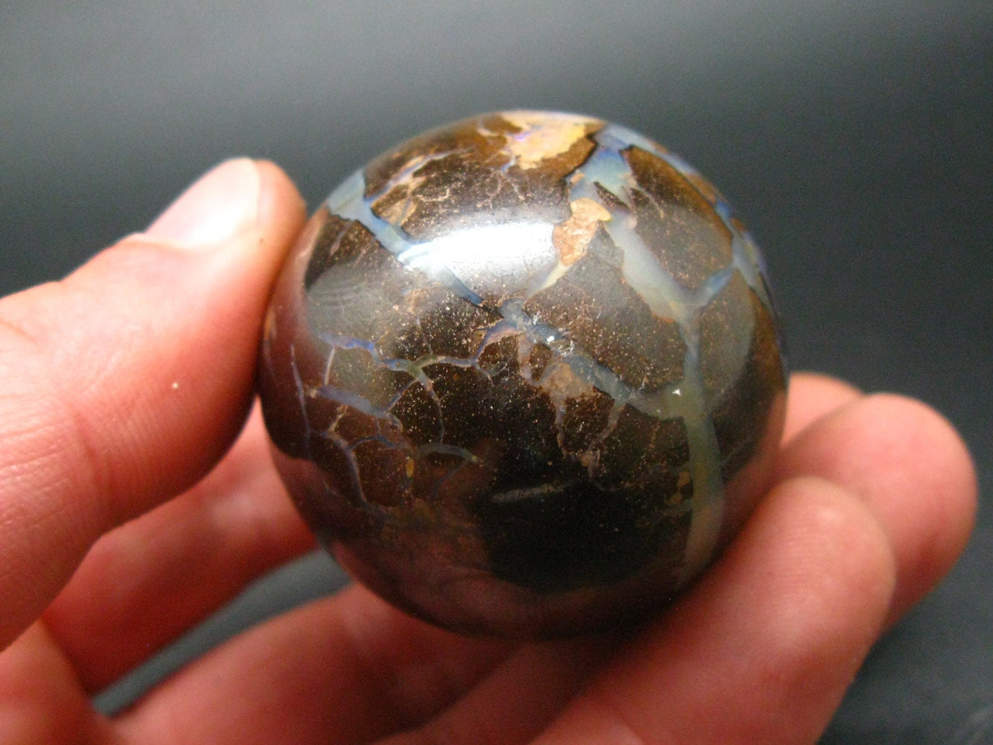 Super Rare Boulder Opal Egg from Australia - 2.3" - 145.2 Grams