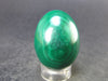 Malachite Egg Carving From Congo - 1.2" - 30.8 Grams