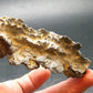 Large Fulgurite Lightning Rock From Sahara Desert - 3.2" - 16.0 Grams