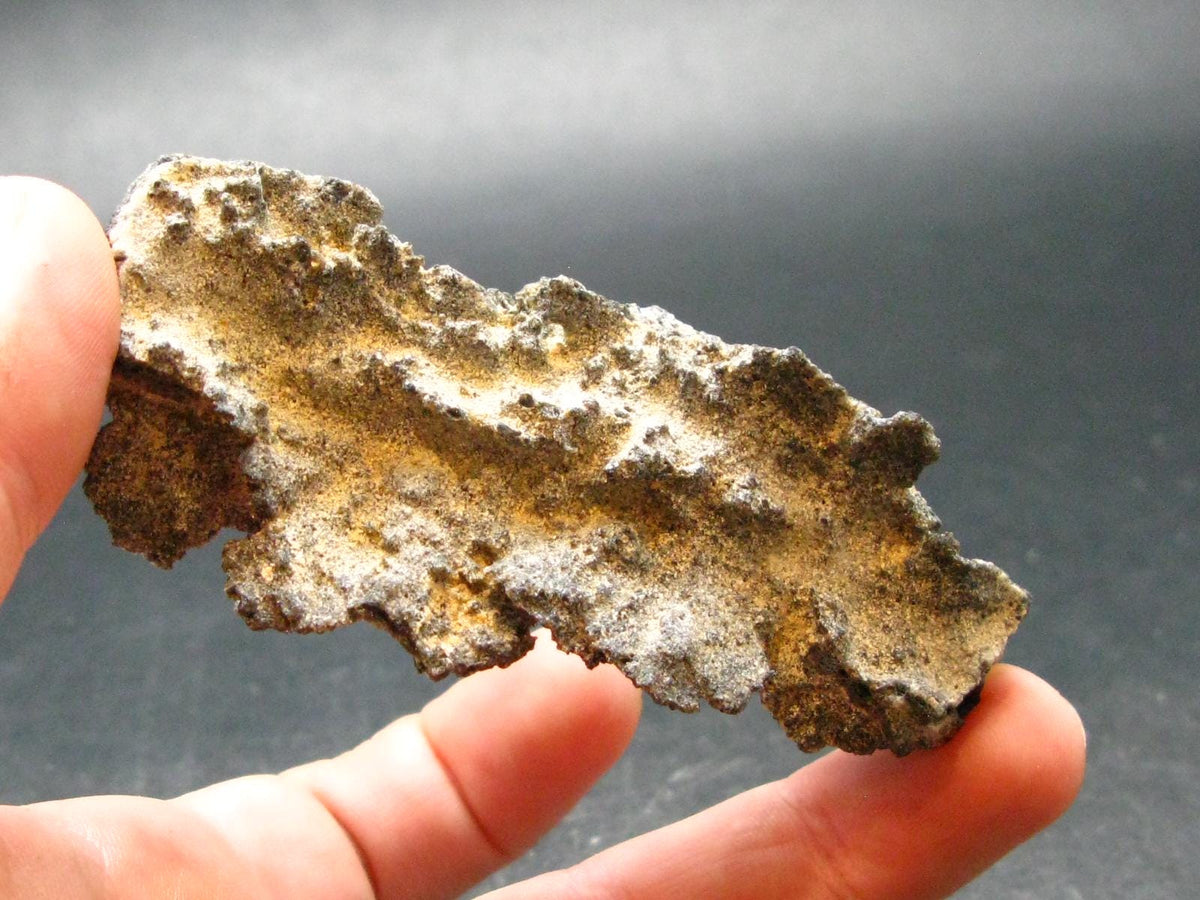 Large Fulgurite Lightning Rock From Sahara Desert - 3.2" - 16.0 Grams