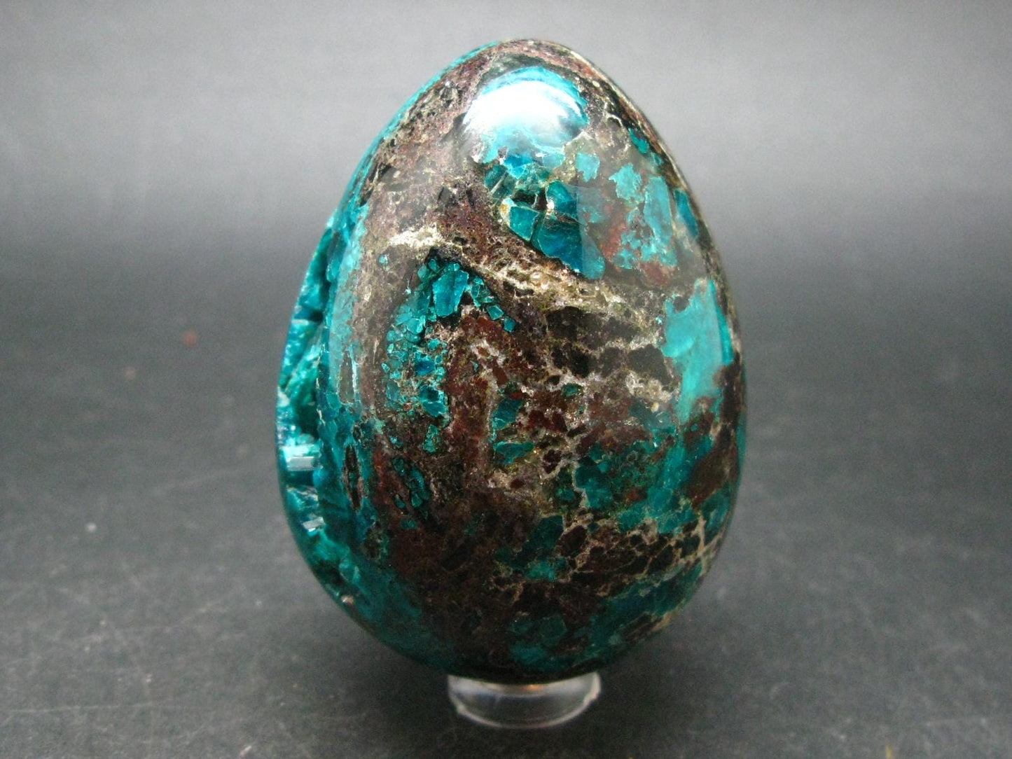 Very Rare Large Dioptase Egg From Congo - 2.7"
