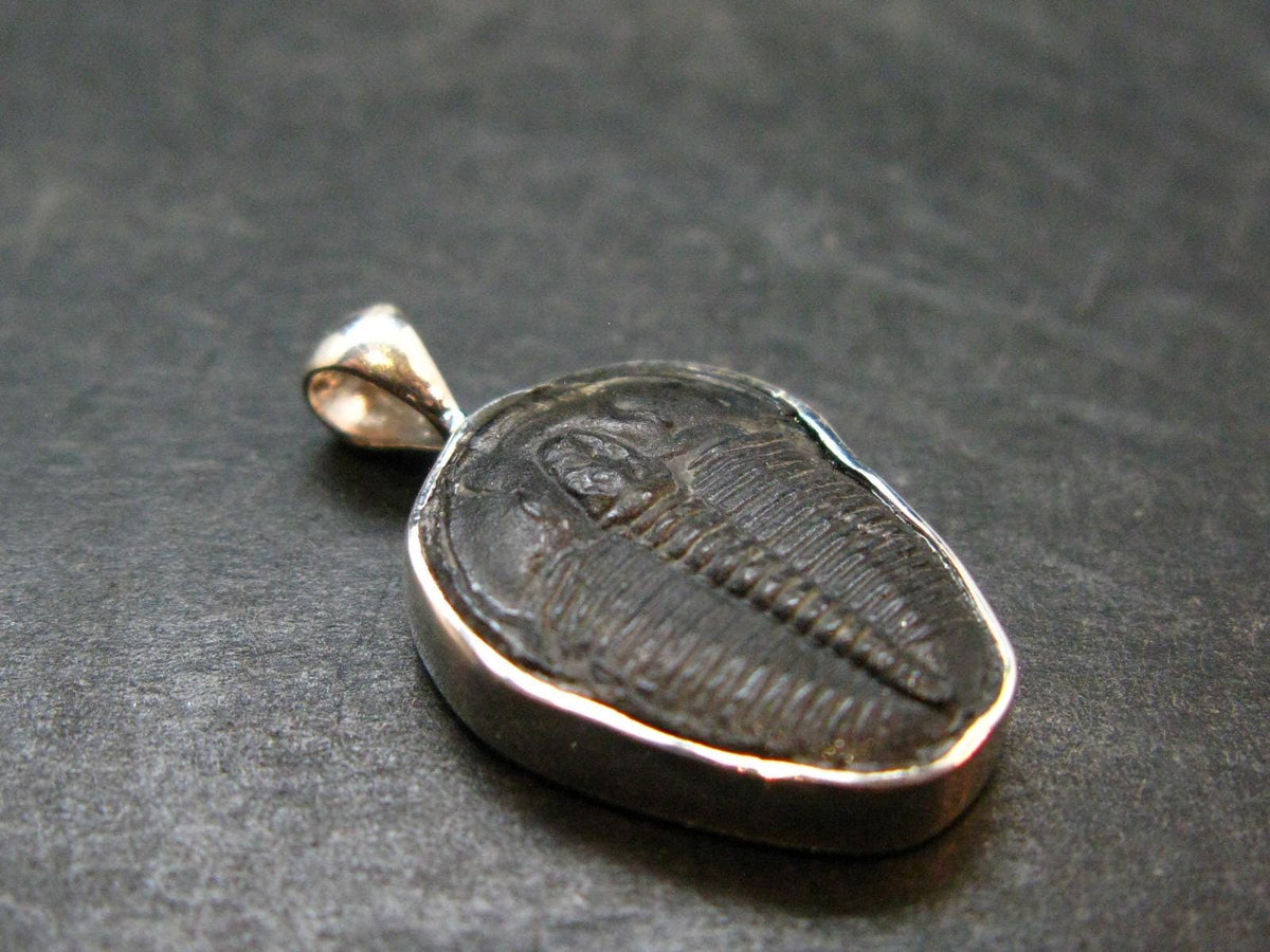Trilobite Silver Pendant from USA - 1.0" - 2.45 Grams