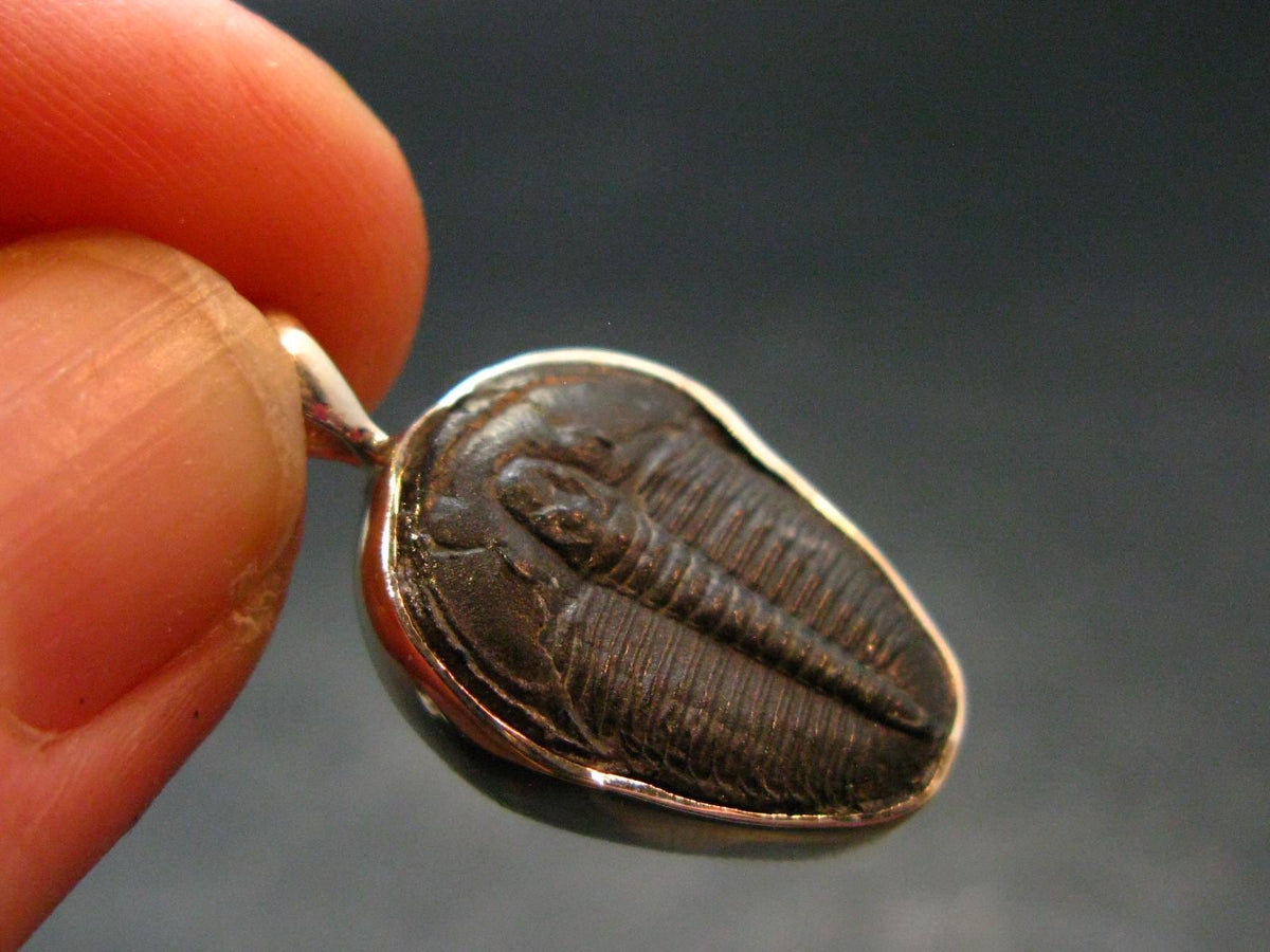 Trilobite Silver Pendant from USA - 1.0" - 2.45 Grams