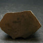 Pyritized Ammonite Fossil On Pyrite Matrix From Russia 150 MYO - 1.6" - 43.38 Grams