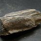 Rare ISUA Stone Raw Piece from Greenland - 2.1" - 60.27 Grams