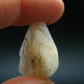 Phenakite Phenacite Tumbled Crystal From Nigeria - 5.02 Grams - 0.7"