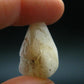 Phenakite Phenacite Tumbled Crystal From Nigeria - 5.02 Grams - 0.7"