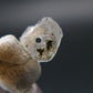 Phenakite Phenacite Raw Crystal Bead from Russia 1.71 Carats
