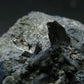 Benitoite and Neptunite on Natrolite Cluster From California - 3.5" - 50.05 Grams