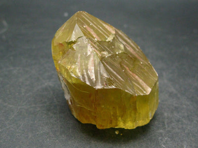 Large Gem Golden Apatite Crystal From Mexico - 1.8"