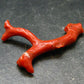 Rare Natural Red Coral From Italy - 1.6" - 3.27 Grams