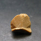 Rare Monazite Crystal From Brazil - 0.3" - 1.18 Grams
