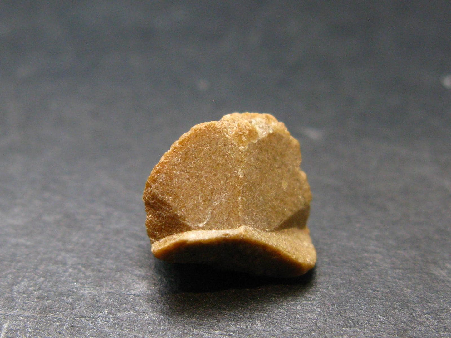Rare Monazite Crystal From Brazil - 0.3" - 1.18 Grams