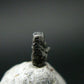 Rare Platinum Crystal From Russia - 6mm - 0.25 Grams